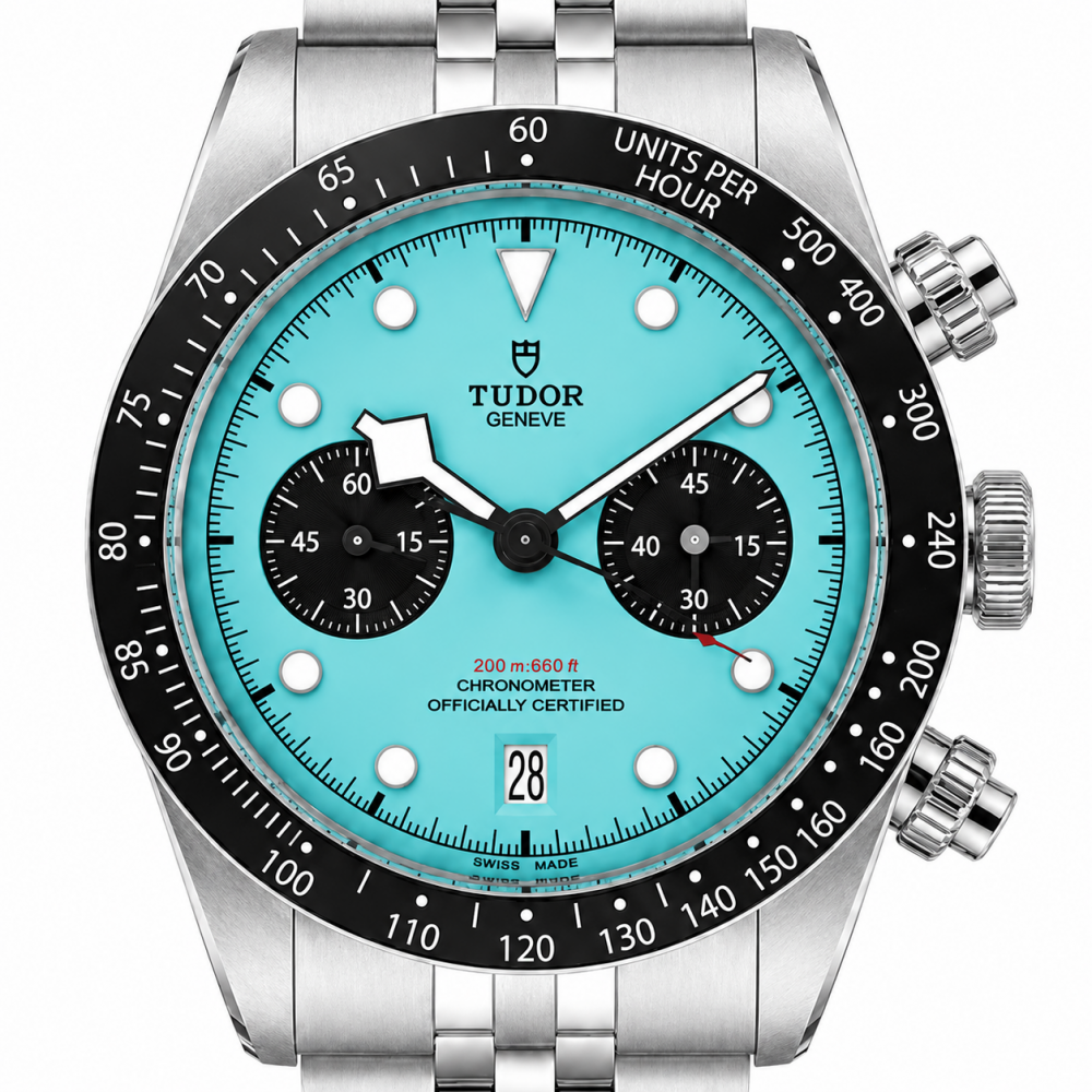 Tudor Flamingo 41MM M79360N-0024 Stainless Steel Watch